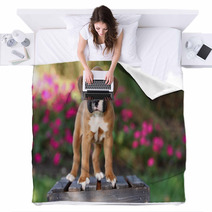 Boxer Puppy Standing On Wooden Crate Blankets 57114473