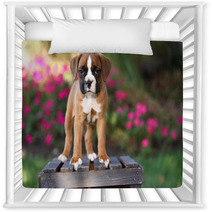 Boxer Puppy Standing On Wooden Crate Nursery Decor 57114473