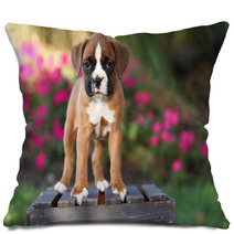 Boxer Puppy Standing On Wooden Crate Pillows 57114473