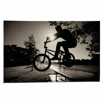 Boy Jumping Over Bench  On Bmx Rugs 33606175