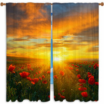 Brave New Day! Window Curtains 65740563