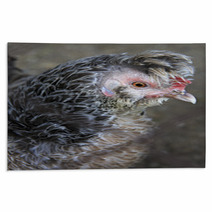 Breeds Curly Chicken In The Farm Rugs 93619996