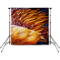 Bright Brown Feather Group Of Some Bird Backdrops 61962989