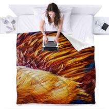 Bright Brown Feather Group Of Some Bird Blankets 61962989