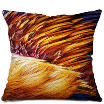 Bright Brown Feather Group Of Some Bird Pillows 61962989