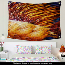 Bright Brown Feather Group Of Some Bird Wall Art 61962989