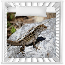 Brown Anole Lizard (Anolis Sagrei) Nursery Decor 67748465