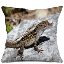 Brown Anole Lizard (Anolis Sagrei) Pillows 67748465