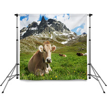 Brown Cow On Green Grass Pasture Backdrops 55277338