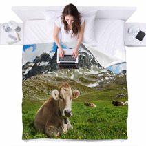 Brown Cow On Green Grass Pasture Blankets 55277338