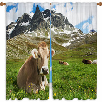 Brown Cow On Green Grass Pasture Window Curtains 55277338