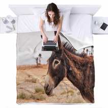 Brown Donkey Blankets 72368843