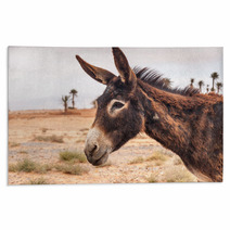 Brown Donkey Rugs 72368843