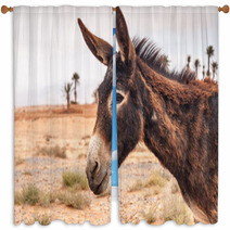 Brown Donkey Window Curtains 72368843