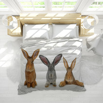 Brown Rabbit Bedding 42621192