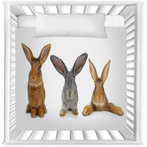 Brown Rabbit Nursery Decor 42621192