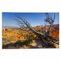 Bryce Canyon Rugs 65166951