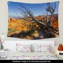 Bryce Canyon Wall Art 65166951
