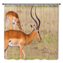 Buck Impala Antelope Bath Decor 93744771