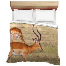 Buck Impala Antelope Bedding 93744771