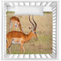 Buck Impala Antelope Nursery Decor 93744771