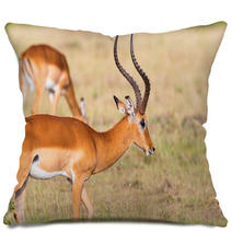 Buck Impala Antelope Pillows 93744771