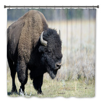 Buffalo At Yellowstone Bath Decor 45590141