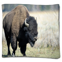 Buffalo At Yellowstone Blankets 45590141