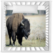 Buffalo At Yellowstone Nursery Decor 45590141