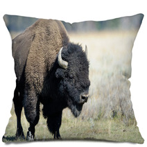 Buffalo At Yellowstone Pillows 45590141
