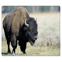 Buffalo At Yellowstone Rugs 45590141