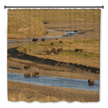 Buffalo Bison In Yellowstone Bath Decor 54177977