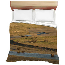 Buffalo Bison In Yellowstone Bedding 54177977