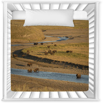 Buffalo Bison In Yellowstone Nursery Decor 54177977