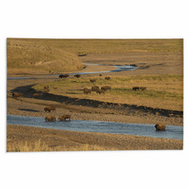 Buffalo Bison In Yellowstone Rugs 54177977