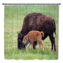 Buffalo Cow And A Calf Bath Decor 65529461