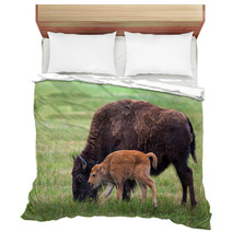 Buffalo Cow And A Calf Bedding 65529461