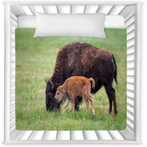 Buffalo Cow And A Calf Nursery Decor 65529461