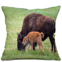 Buffalo Cow And A Calf Pillows 65529461