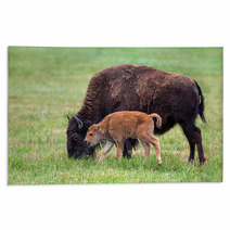 Buffalo Cow And A Calf Rugs 65529461