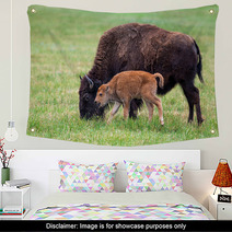 Buffalo Cow And A Calf Wall Art 65529461