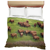 Buffalo Herd Bedding 49502496
