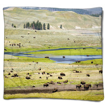 Buffalo Herd In Hayden Valley Blankets 19730953