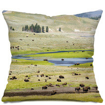 Buffalo Herd In Hayden Valley Pillows 19730953