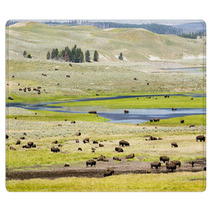 Buffalo Herd In Hayden Valley Rugs 19730953