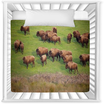 Buffalo Herd Nursery Decor 49502496