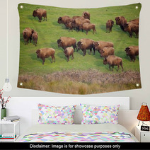 Buffalo Herd Wall Art 49502496