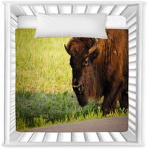 Buffalo Nursery Decor 61538318