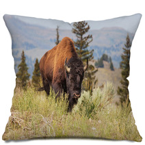 Buffalo Pillows 55492292