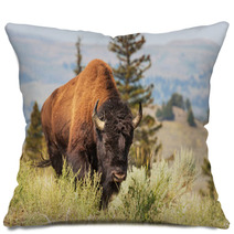 Buffalo Pillows 55492924